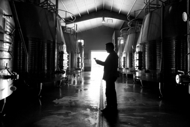 probando el vino
